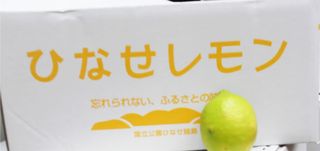 Remon Remon